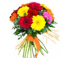 Multicolored gerberas bouquet.